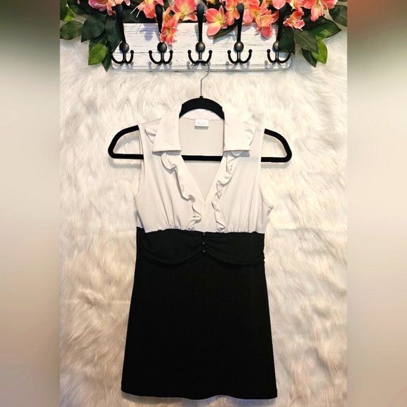 Classic Ruched Waist Ruffle Collared Mini Dress - Picture 1 of 4